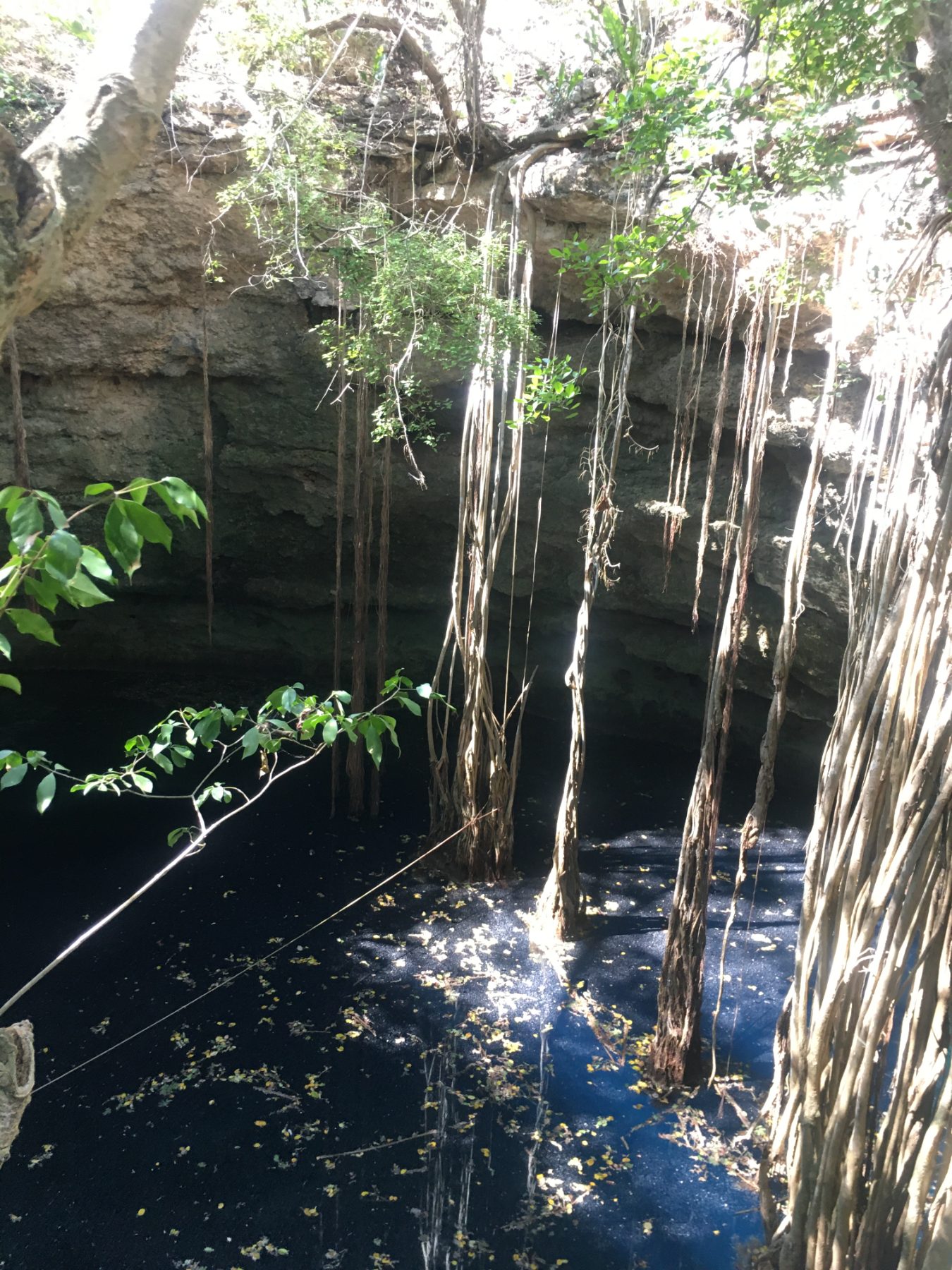 Light falling into a sacred cenote
