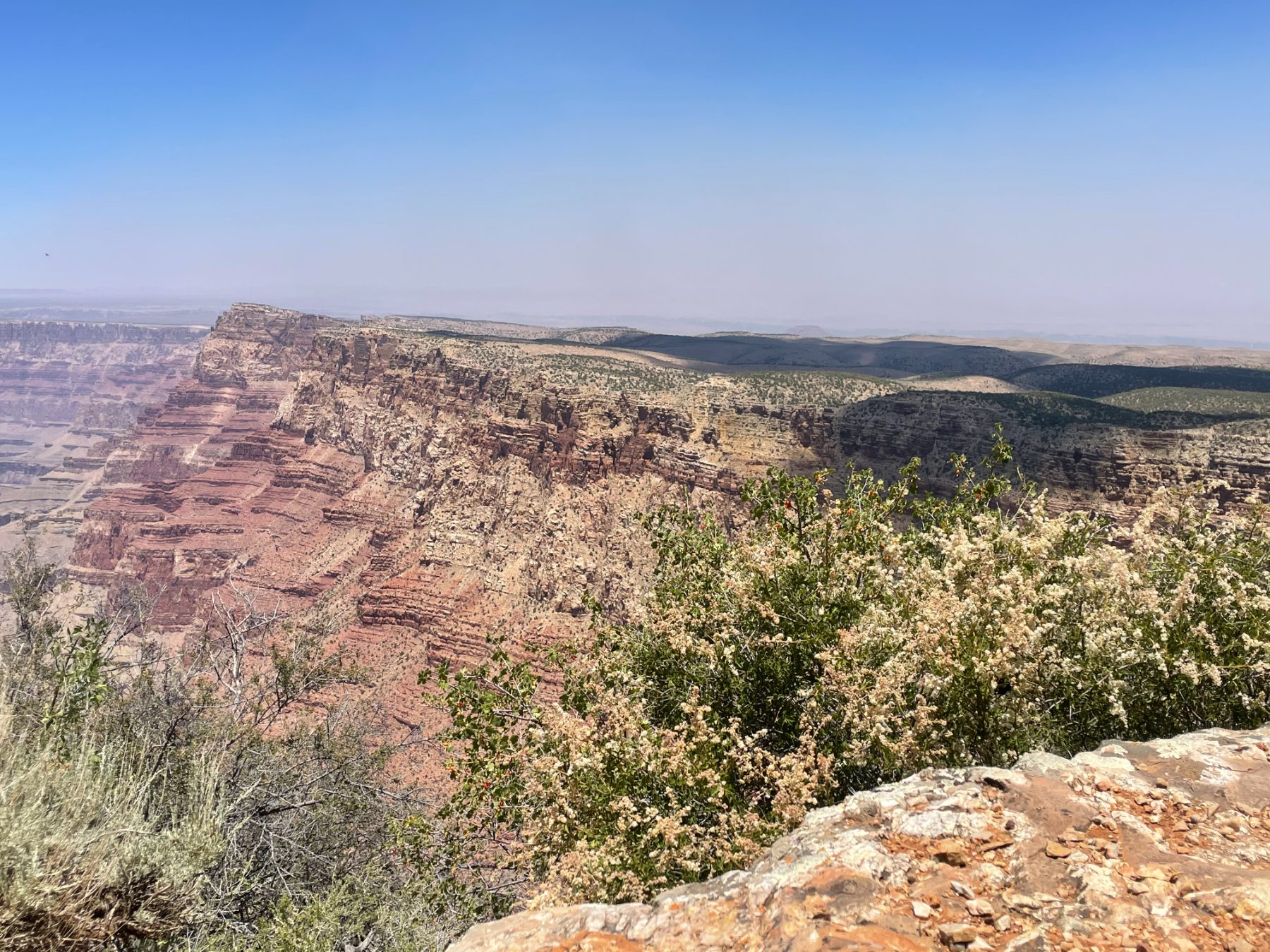 A canyon vista opening to the horizon